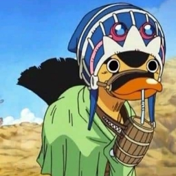 PP de Sofiane-Duck