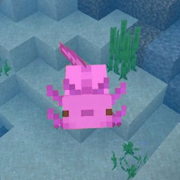PP de Jy_Maia