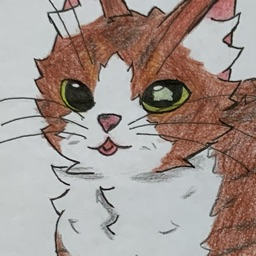 PP de _Mira_