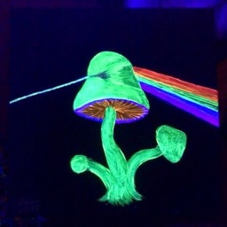 PP de Eau_scar ||-//