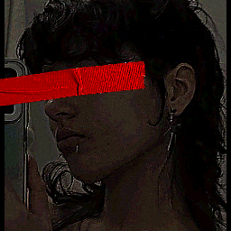 PP de 'nyu