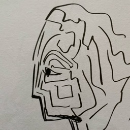 PP de aliaims