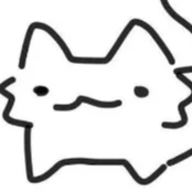PP de niokki