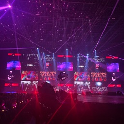 PP de PoussinPamplemousse