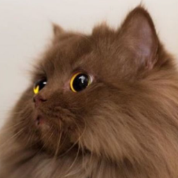 PP de April (Chanmallow)